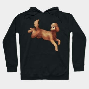 Cozy Poodle Hoodie